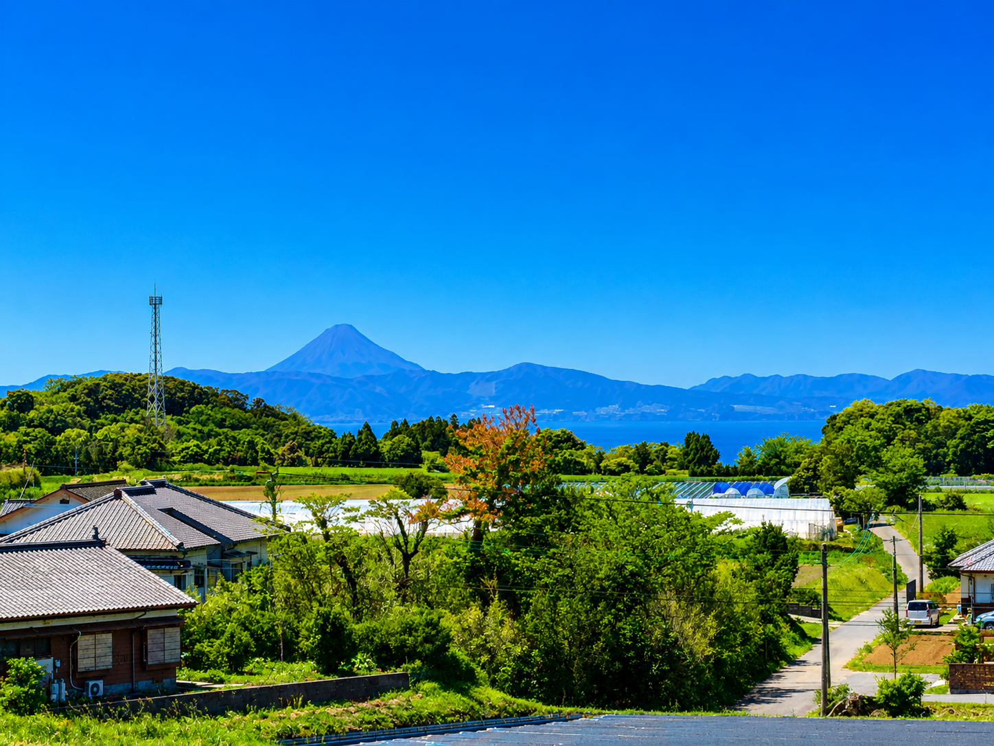 お天気の良い日は、薩摩富士と呼ばれる美しい開聞岳が望めます