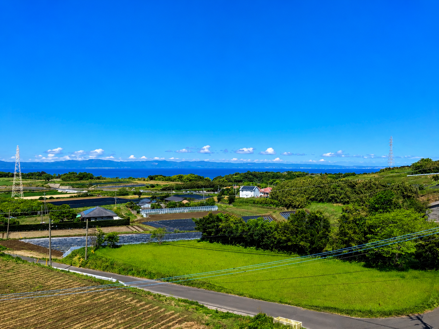 緑に囲まれた穏やかな環境でのんびりお過ごしいただけます